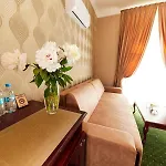 Arcadia Plaza Hotel 4*